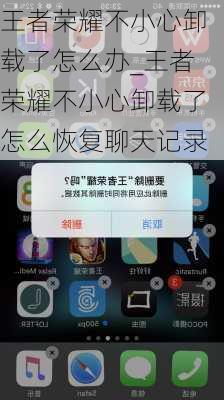 王者荣耀不小心卸载了怎么办_王者荣耀不小心卸载了怎么恢复聊天记录