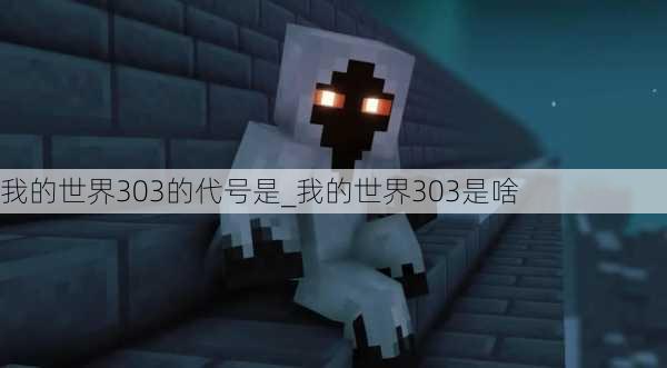 我的世界303的代号是_我的世界303是啥