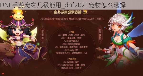 DNF手游宠物几级能用_dnf2021宠物怎么选择