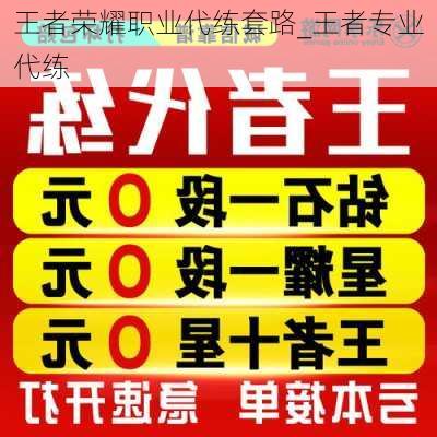 王者荣耀职业代练套路_王者专业代练