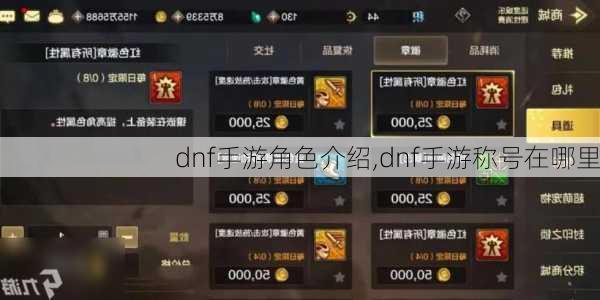 dnf手游角色介绍,dnf手游称号在哪里