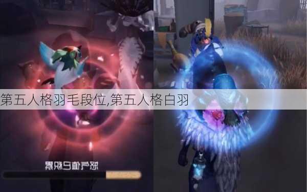 第五人格羽毛段位,第五人格白羽