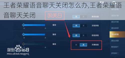 王者荣耀语音聊天关闭怎么办,王者荣耀语音聊天关闭