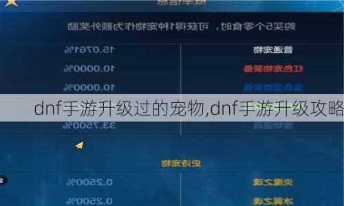dnf手游升级过的宠物,dnf手游升级攻略