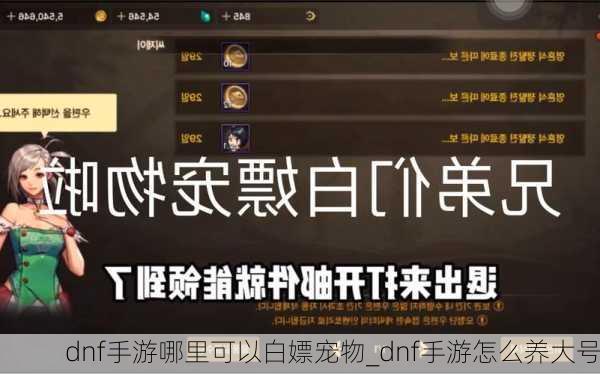 dnf手游哪里可以白嫖宠物_dnf手游怎么养大号