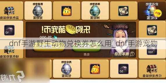 dnf手游野生动物兑换券怎么用_dnf手游宠物