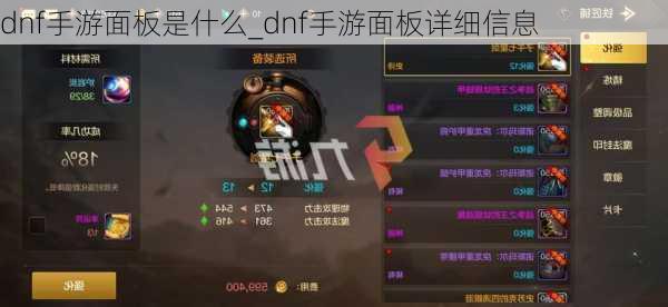 dnf手游面板是什么_dnf手游面板详细信息