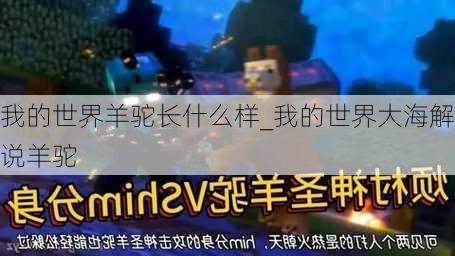 我的世界羊驼长什么样_我的世界大海解说羊驼