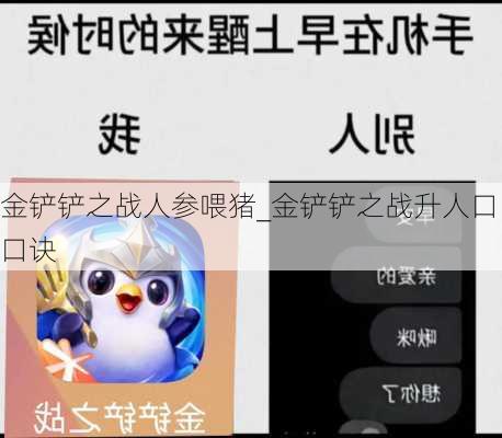 金铲铲之战人参喂猪_金铲铲之战升人口口诀