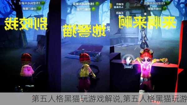 第五人格黑猫玩游戏解说,第五人格黑猫玩游