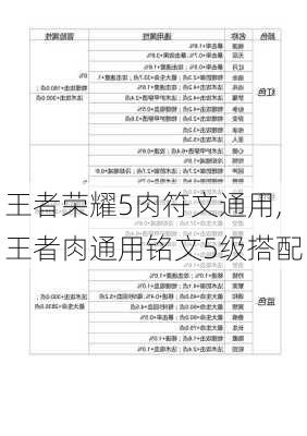 王者荣耀5肉符文通用,王者肉通用铭文5级搭配