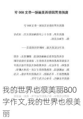 我的世界也很美丽800字作文,我的世界也很美丽