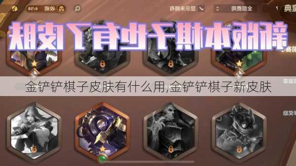 金铲铲棋子皮肤有什么用,金铲铲棋子新皮肤