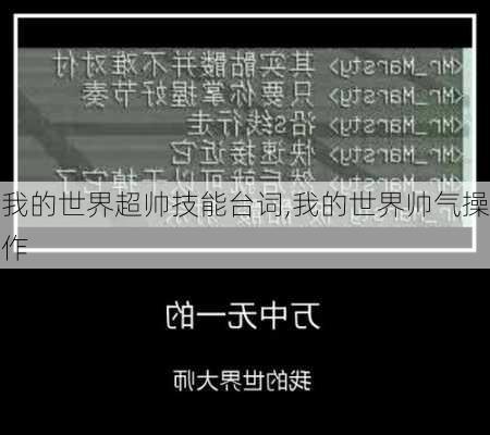 我的世界超帅技能台词,我的世界帅气操作