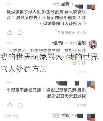 我的世界玩家骂人_我的世界骂人处罚方法