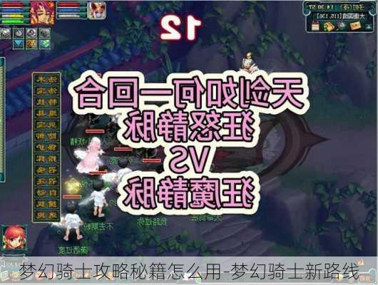 梦幻骑士攻略秘籍怎么用-梦幻骑士新路线