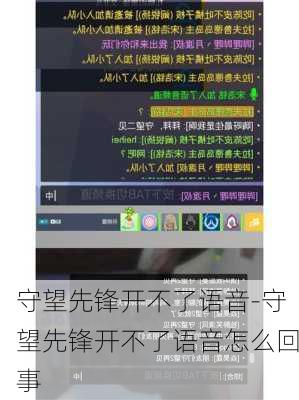 守望先锋开不了语音-守望先锋开不了语音怎么回事