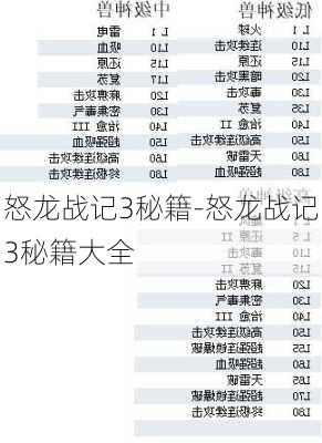 怒龙战记3秘籍-怒龙战记3秘籍大全