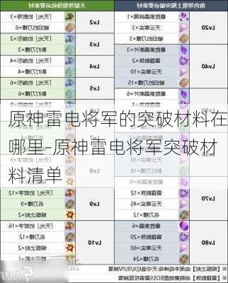 原神雷电将军的突破材料在哪里-原神雷电将军突破材料清单