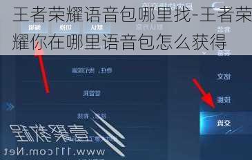 王者荣耀语音包哪里找-王者荣耀你在哪里语音包怎么获得