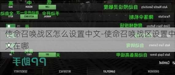 使命召唤战区怎么设置中文-使命召唤战区设置中文在哪