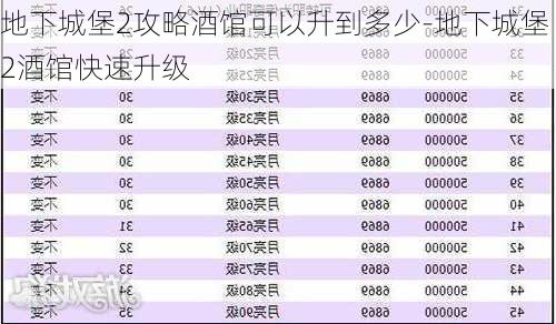 地下城堡2攻略酒馆可以升到多少-地下城堡2酒馆快速升级