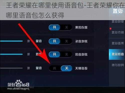 王者荣耀在哪里使用语音包-王者荣耀你在哪里语音包怎么获得