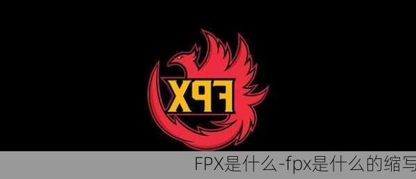 FPX是什么-fpx是什么的缩写