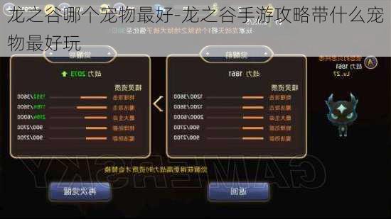 龙之谷哪个宠物最好-龙之谷手游攻略带什么宠物最好玩