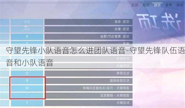 守望先锋小队语音怎么进团队语音-守望先锋队伍语音和小队语音