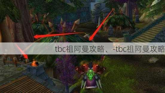 tbc祖阿曼攻略、-tbc祖阿曼攻略